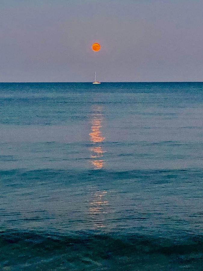 Bali Suites 101 Larnaca Zewnętrze zdjęcie